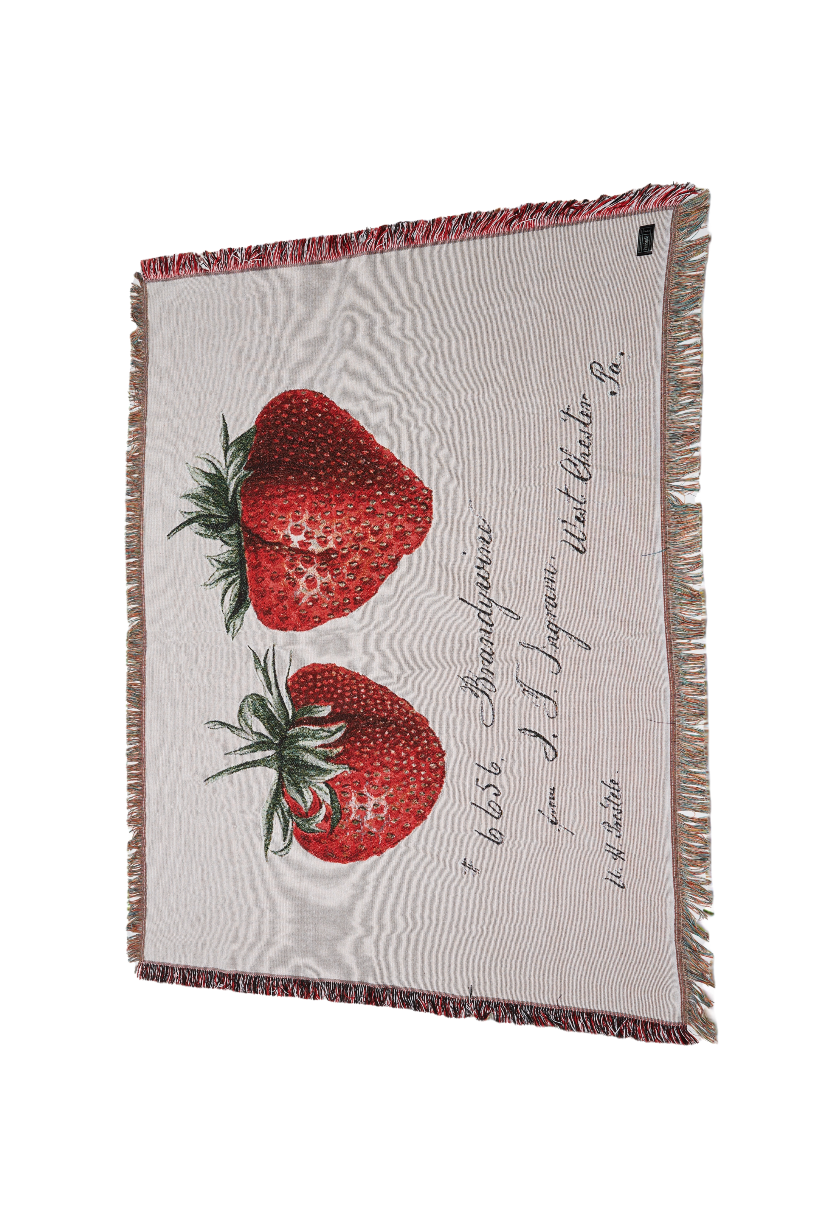 Strawberry Field’s Beach, Home Decor, Picnic Throw Blanket